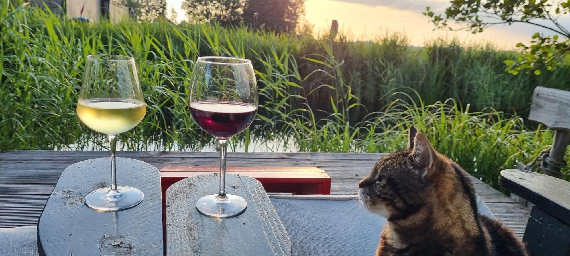 Slapen Bij Bonanza Villa Bantega Luaran gambar